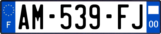 AM-539-FJ