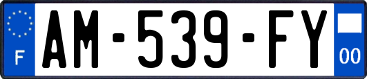 AM-539-FY