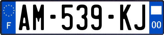 AM-539-KJ
