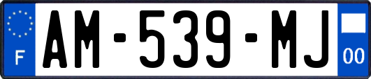 AM-539-MJ