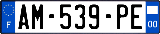 AM-539-PE
