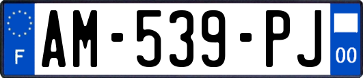 AM-539-PJ