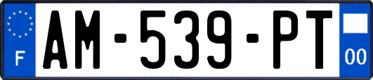 AM-539-PT