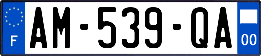 AM-539-QA