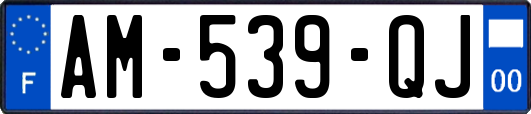 AM-539-QJ