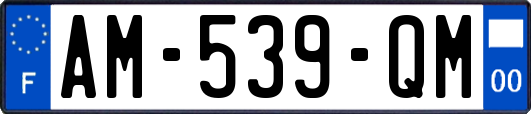 AM-539-QM