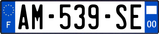 AM-539-SE