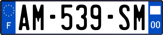 AM-539-SM