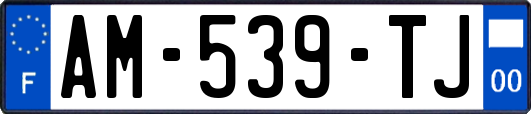 AM-539-TJ