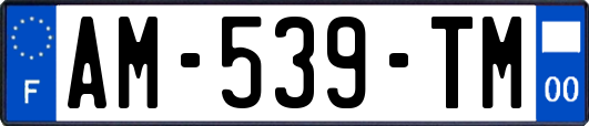 AM-539-TM