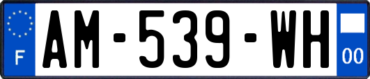 AM-539-WH