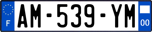 AM-539-YM