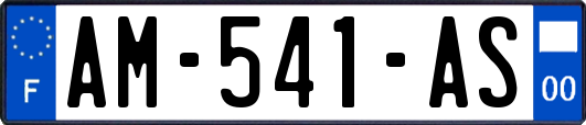 AM-541-AS