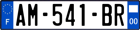 AM-541-BR