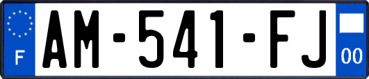 AM-541-FJ