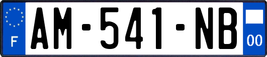 AM-541-NB