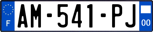 AM-541-PJ