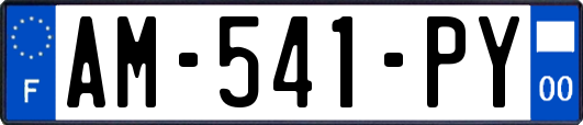 AM-541-PY