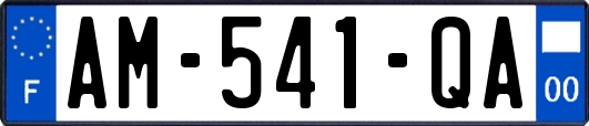 AM-541-QA