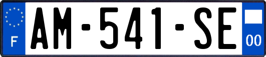 AM-541-SE