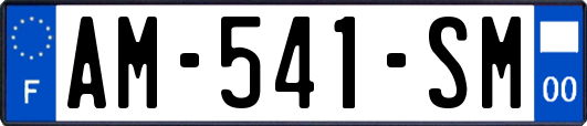 AM-541-SM