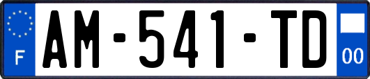 AM-541-TD