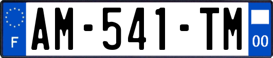 AM-541-TM