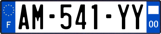 AM-541-YY