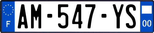 AM-547-YS