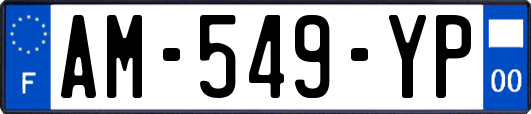 AM-549-YP
