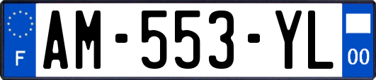 AM-553-YL