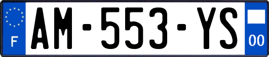 AM-553-YS