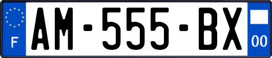 AM-555-BX