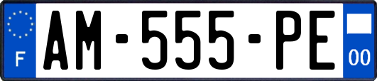 AM-555-PE