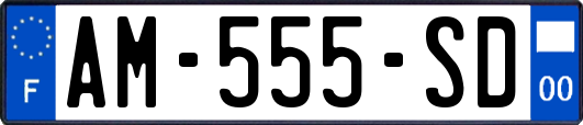 AM-555-SD