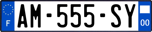AM-555-SY