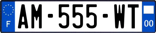 AM-555-WT