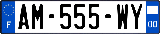 AM-555-WY