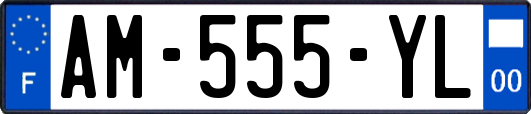 AM-555-YL