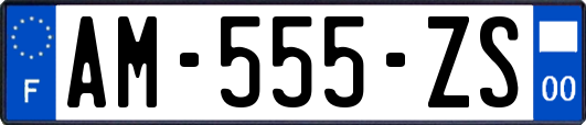 AM-555-ZS