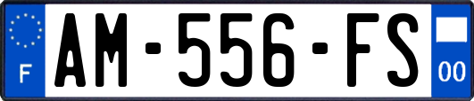 AM-556-FS