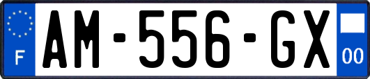 AM-556-GX