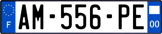 AM-556-PE
