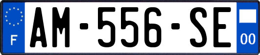 AM-556-SE