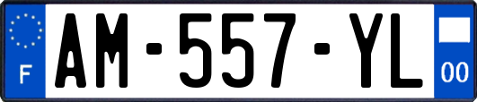 AM-557-YL