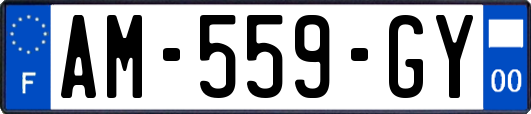 AM-559-GY
