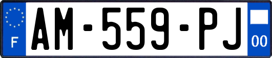 AM-559-PJ