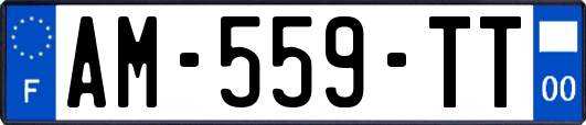AM-559-TT