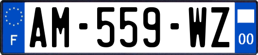 AM-559-WZ