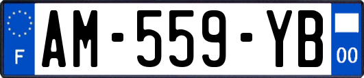 AM-559-YB